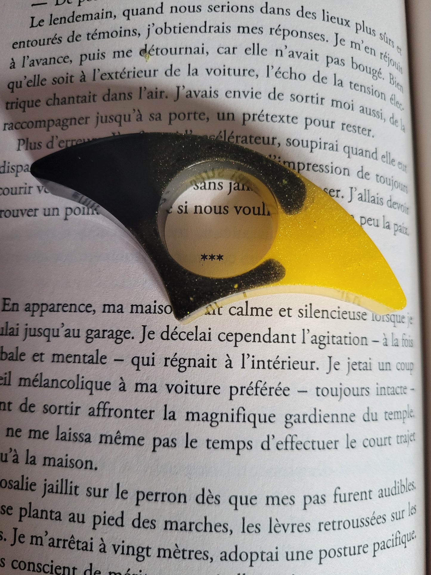 Bague de lecture N°8